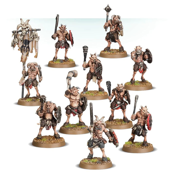 Ungors / Ungor Raiders